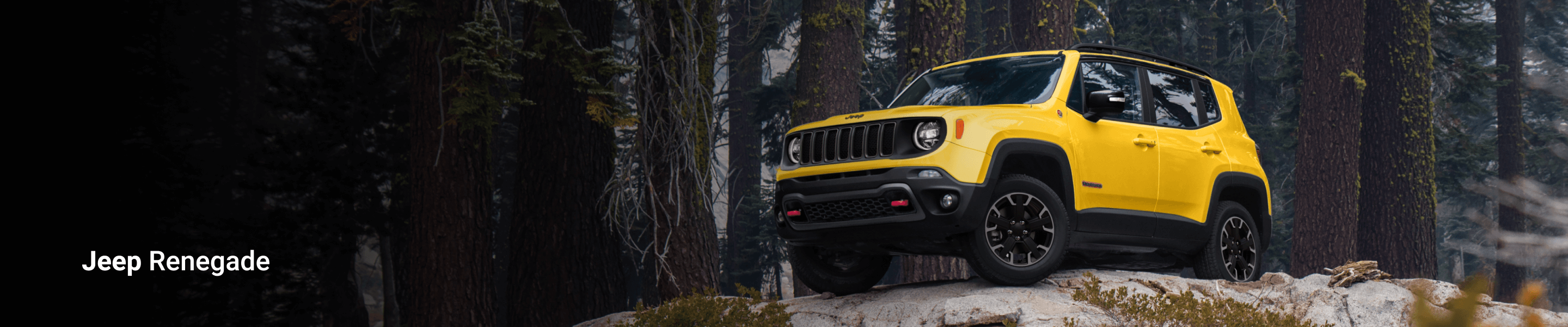 New Jeep Renegade